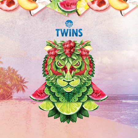 Twins Hola Banner
